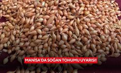 Manisa'da soğan tohumu uyarısı!