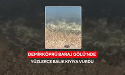 Demirköprü Baraj Gölü’nde yüzlerce balık kıyıya vurdu