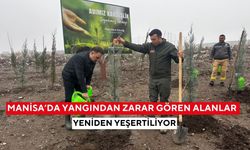 Baybatur’dan anlamlı çalışma! Yangın sonrası alanlara fidan dikimi