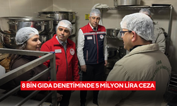 8 bin gıda denetiminde 5 milyon lira ceza