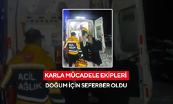Karla Mücadele Ekipleri Doğum İçin Seferber Oldu