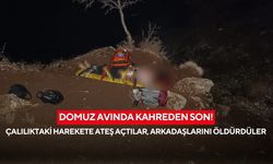 Domuz avında kahreden son! Çalılıktaki harekete ateş açtılar, arkadaşlarını öldürdüler