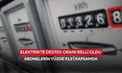 Elektrikte destek oranı belli oldu: Abonelerin yüzde 93,5’i kapsamda