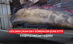 Gölden çıkan dev görenleri şoke etti! 4 kişiyle ancak taşındı