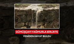 Gümüşçayı yağmurla birlikte yeniden hayat buldu