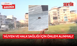 ‘Hijyen ve halk sağlığı için önlem alınmalı’