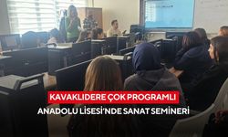 Kavaklıdere Çok Programlı Anadolu Lisesi’nde sanat semineri