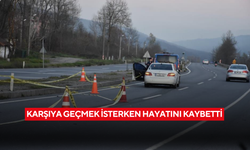 Karşıya geçmek isterken hayatını kaybetti