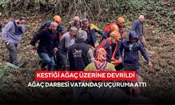 Kestiği ağaç üzerine devrildi: Ağaç darbesi vatandaşı uçuruma attı
