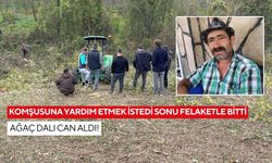 Komşusuna yardım etmek istedi sonu felaketle bitti: Ağaç dalı can aldı!