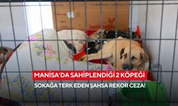 Manisa’da sahiplendiği 2 köpeği sokağa terk eden şahsa rekor ceza!