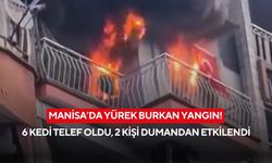 Manisa’da yürek burkan yangın! 6 kedi telef oldu, 2 kişi dumandan etkilendi