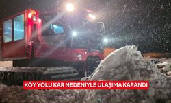Köy yolu kar nedeniyle ulaşıma kapandı