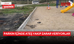 Parkın içinde ateş yakıp zarar veriyorlar