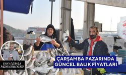 Salihli Çarşamba Pazarı’nda Balık Fiyatları 10 Aralık Çarşamba | Hava şartları balık çeşitliliğini etkiledi