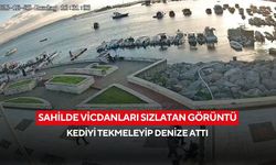 Sahilde vicdanları sızlatan görüntü: Kediyi tekmeleyip denize attı