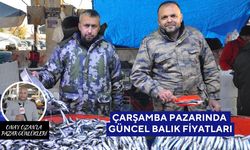 Salihli Çarşamba Pazarı’nda Balık Fiyatları 17 Aralık Çarşamba | Pazarın en pahalısı barbun ve kalkan balığı