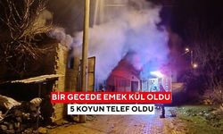 Samanlık alev alev yandı, 5 koyun telef olurken çaresizce izledi...