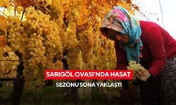 Sarıgöl Ovası’nda hasat sezonu sona yaklaştı