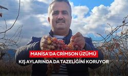 Manisa’da Crimson üzümü kış aylarında da tazeliğini koruyor