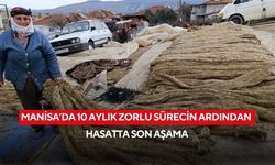 Manisa’da 10 aylık zorlu sürecin ardından hasatta son aşama