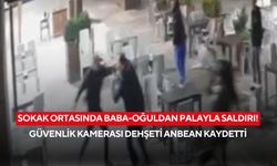 Sokak ortasında palayla dehşet! Güvenlik kamerası saldırı anını anbean kaydetti