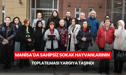 Manisa’da sahipsiz sokak hayvanlarının toplatılması yargıya taşındı