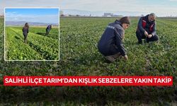 Salihli’de kışlık sebzelerde hastalık ve zararlılara karşı kontroller sürüyor