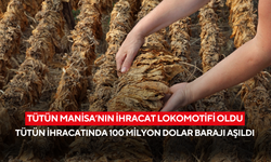Manisa tütün ihracatında 100 milyon dolar barajını aştı