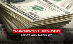 Yabancı kontrollü girişim sayısı hızla artıyor