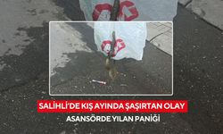 Salihli’de kış ayında şaşırtan olay: Asansörde yılan paniği