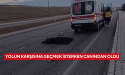Yolun karşısına geçmek isterken canından oldu...