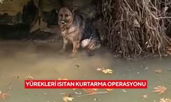 Yürekleri ısıtan kurtarma operasyonu