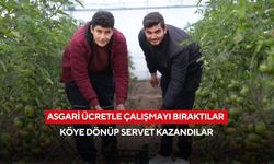Asgari ücretle çalışmayı bıraktılar, köye dönüp servet kazandılar
