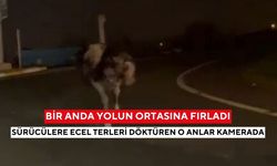 Bir anda yolun ortasına fırladı: Sürücülere ecel terleri döktüren o anlar kamerada