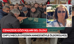 Boğazını kesip evi ateşe vermişti... Katili yeğeni çıktı