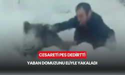 Cesareti pes dedirtti ! Yaban domuzunu eliyle yakaladı