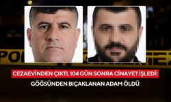 Cezaevinden çıktı, 104 gün sonra cinayet işledi! Göğsünden bıçaklanan adam öldü