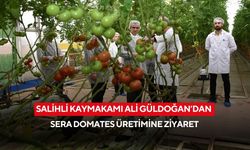 Salihli Kaymakamı Ali Güldoğan’dan sera domates üretimine ziyaret