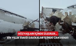 Gözyaşları içinde izlediler... 11 büyükbaş hayvan telef oldu!
