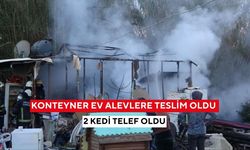 Konteyner ev alevlere teslim oldu: 2 kedi telef oldu