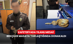 Kafede yılanla dolaşmanın bedeli ağır oldu