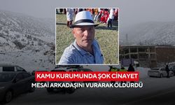 Kamu kurumunda şok cinayet: Mesai arkadaşını vurarak öldürdü