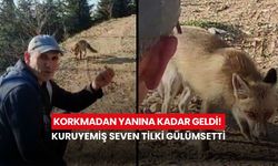 Korkmadan yanına kadar geldi! Kuruyemiş seven tilki gülümsetti
