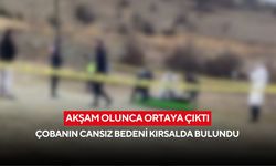 Koyunlar döndü, çoban dönmedi: 56 yaşındaki adam arazide ölü bulundu