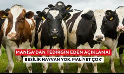 Manisa’dan tedirgin eden açıklama! ‘Besilik hayvan yok, maliyet çok’ Ette yeni artışlar kapıda