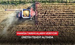 Manisa tarımı alarm veriyor! Üretim tehdit altında