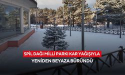 Spil Dağı Milli Parkı kar yağışıyla yeniden beyaza büründü