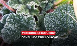 Meteoroloji duyurdu il genelinde etkili olacak