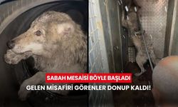 Sabah mesaisi böyle başladı: Dükkanın kapısından giren misafiri görenler donup kaldı!